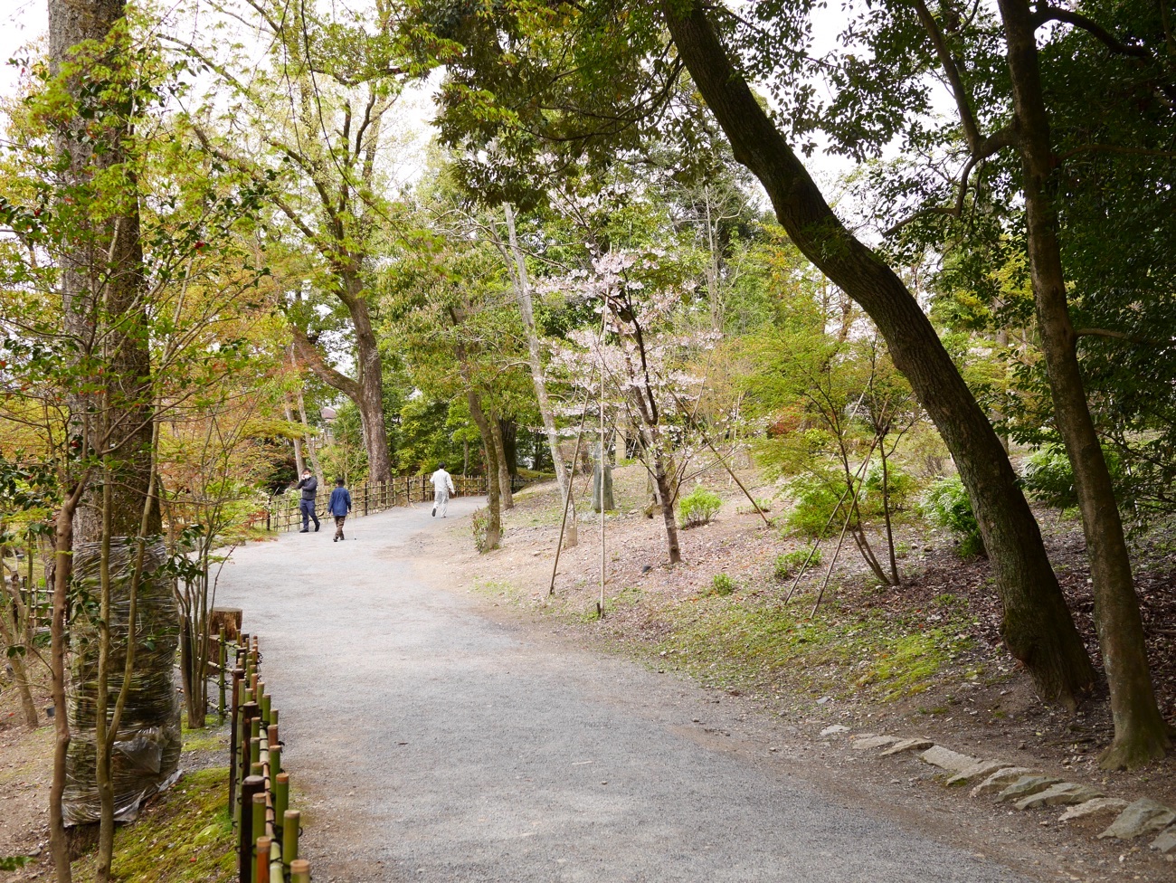 道なりに歩いて行く